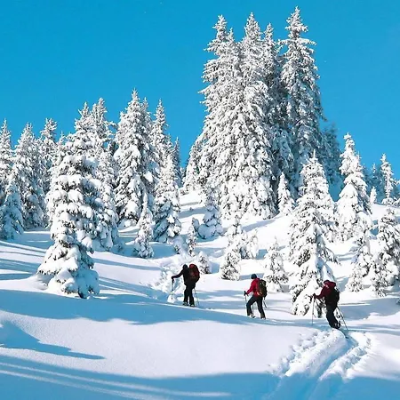 شقة Holiday Erzberg Alpin - Osm02507-dyd *